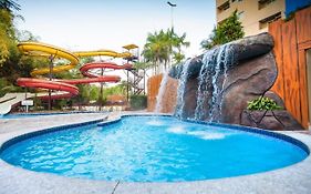 Golden dolphin Caldas Novas